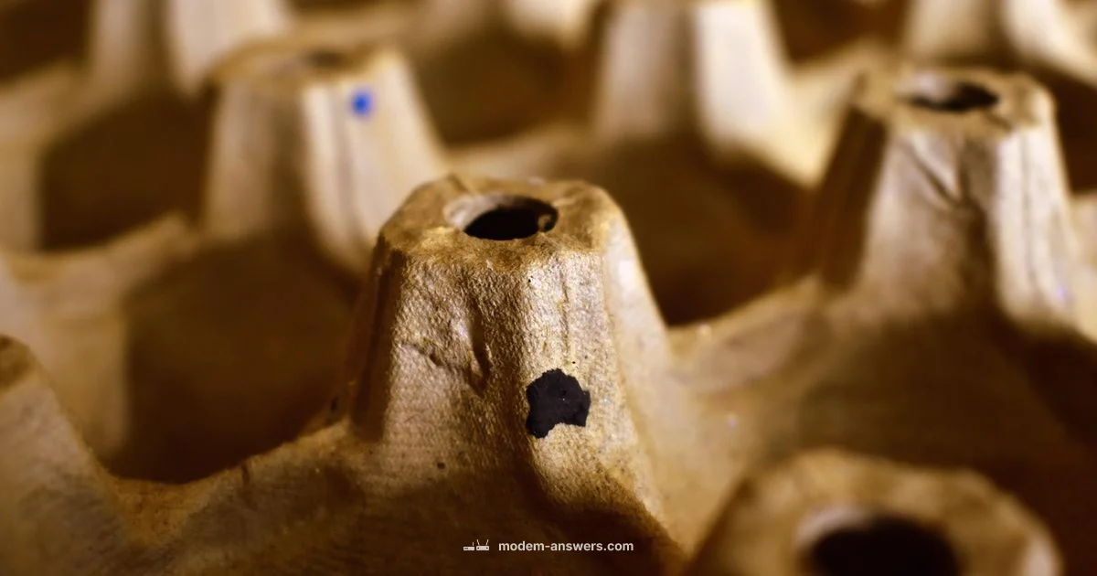 Modem Box Guide - Modem Answers