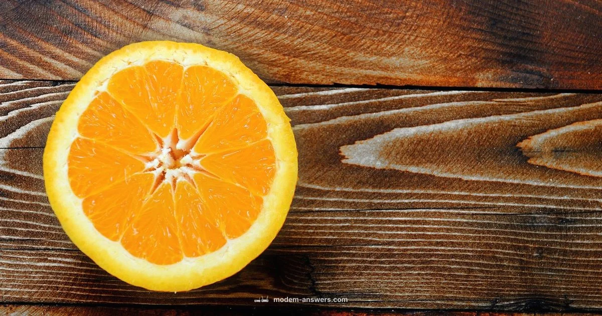 TP-Link Modem Setup TP-Link Modem Setup - Modem Answers