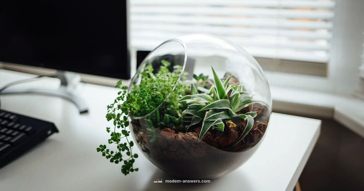 New Modem Setup - Modem Answers