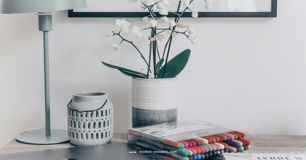 TP-Link ADSL Router - Modem Answers