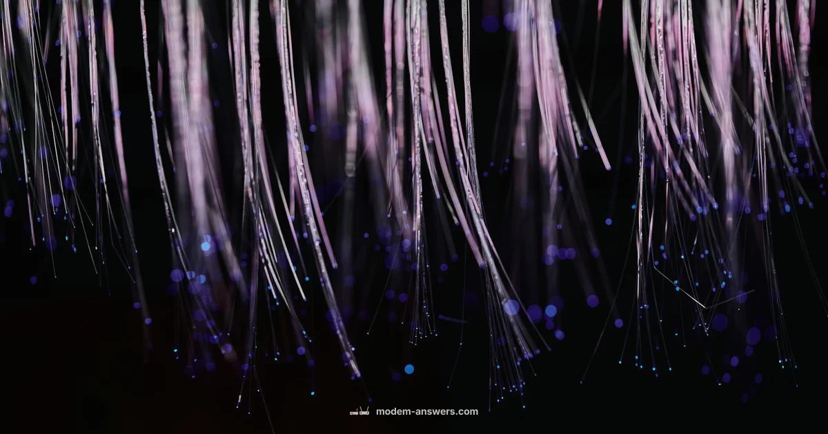 Fiber Gateway Duo - Modem Answers