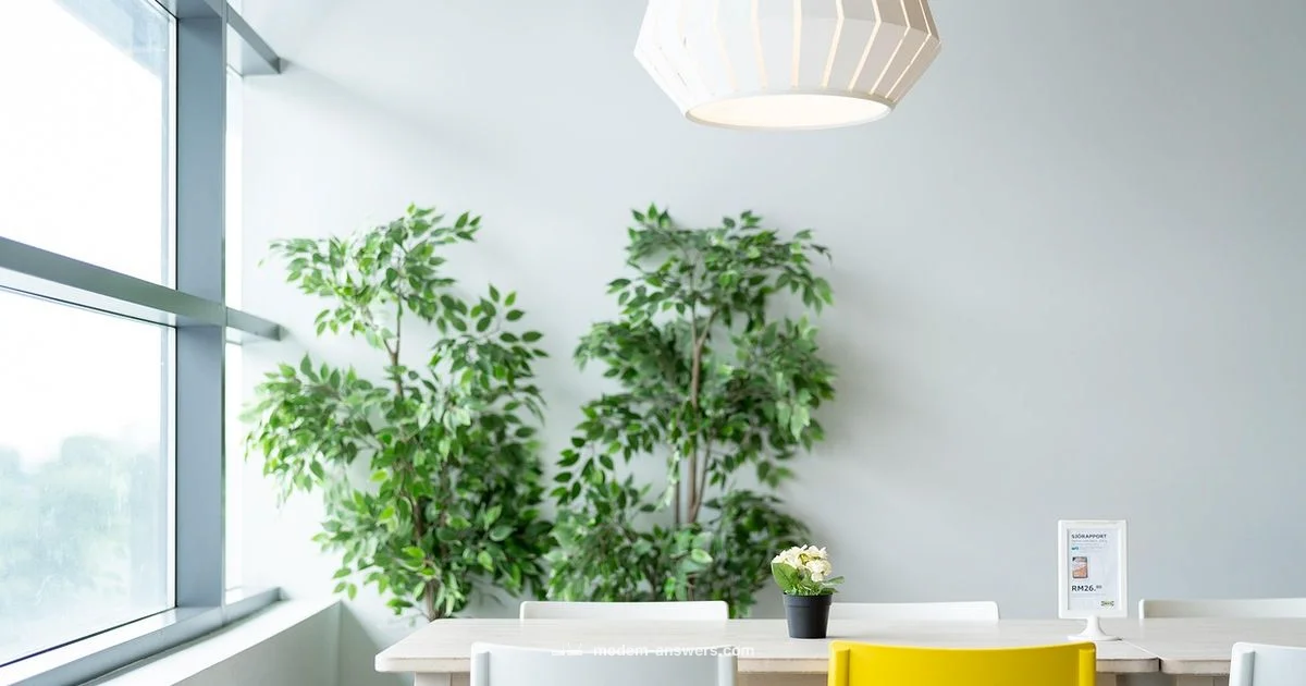 Xfinity Gateway Guide - Modem Answers