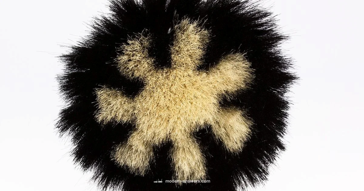 Clean Xfinity Modem - Modem Answers