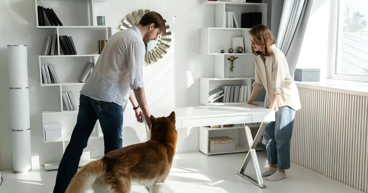 Best Buy Xfinity Modems 2026 Best Buy Xfinity Modems 2026 - Modem Answers