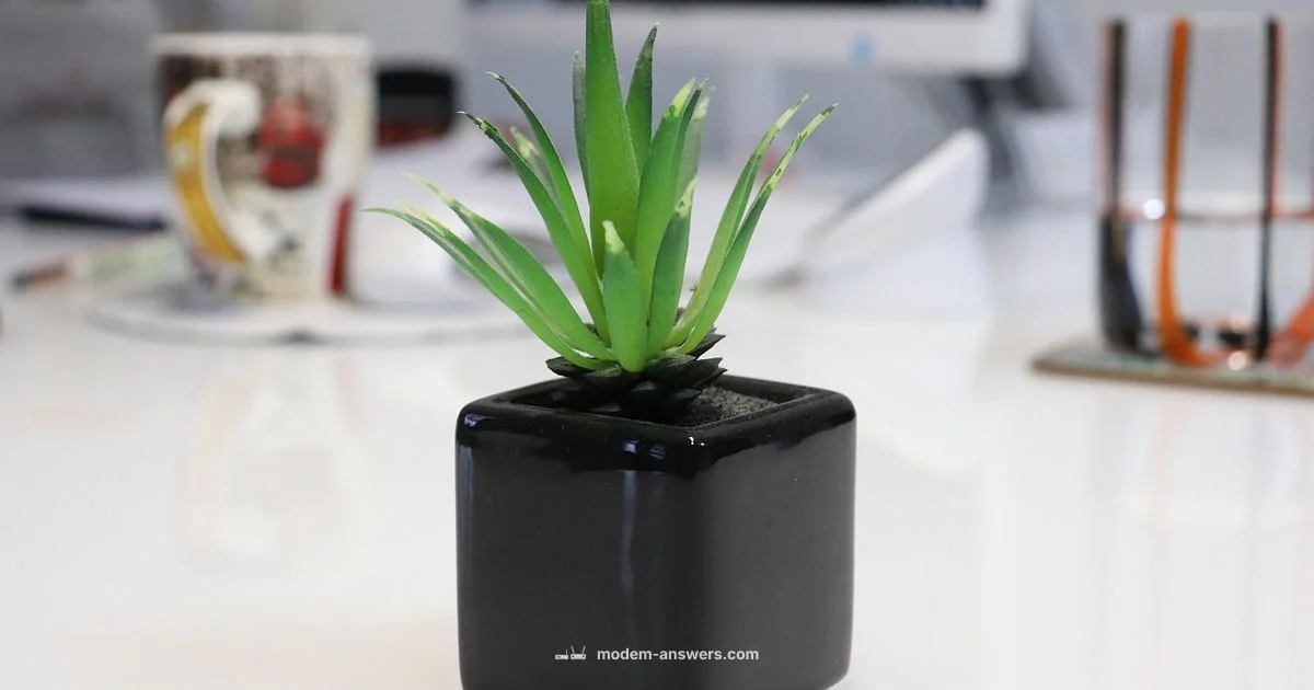 Starlink 2.0 Gateway - Modem Answers