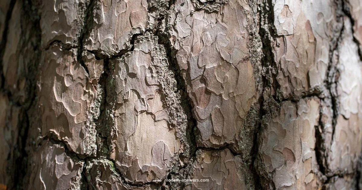 Modem Log Guide - Modem Answers