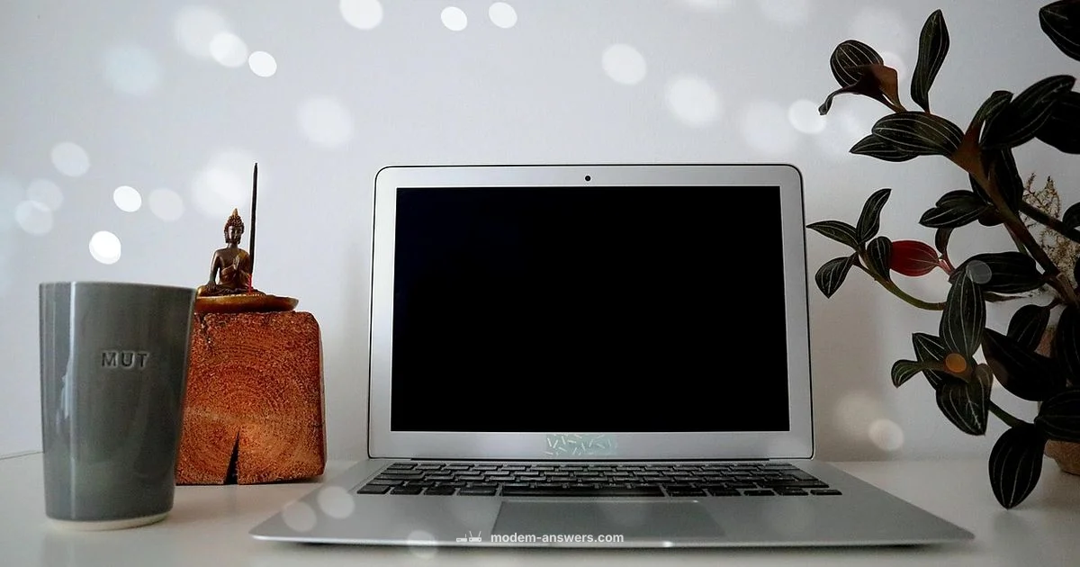 Bridge Mode Guide - Modem Answers