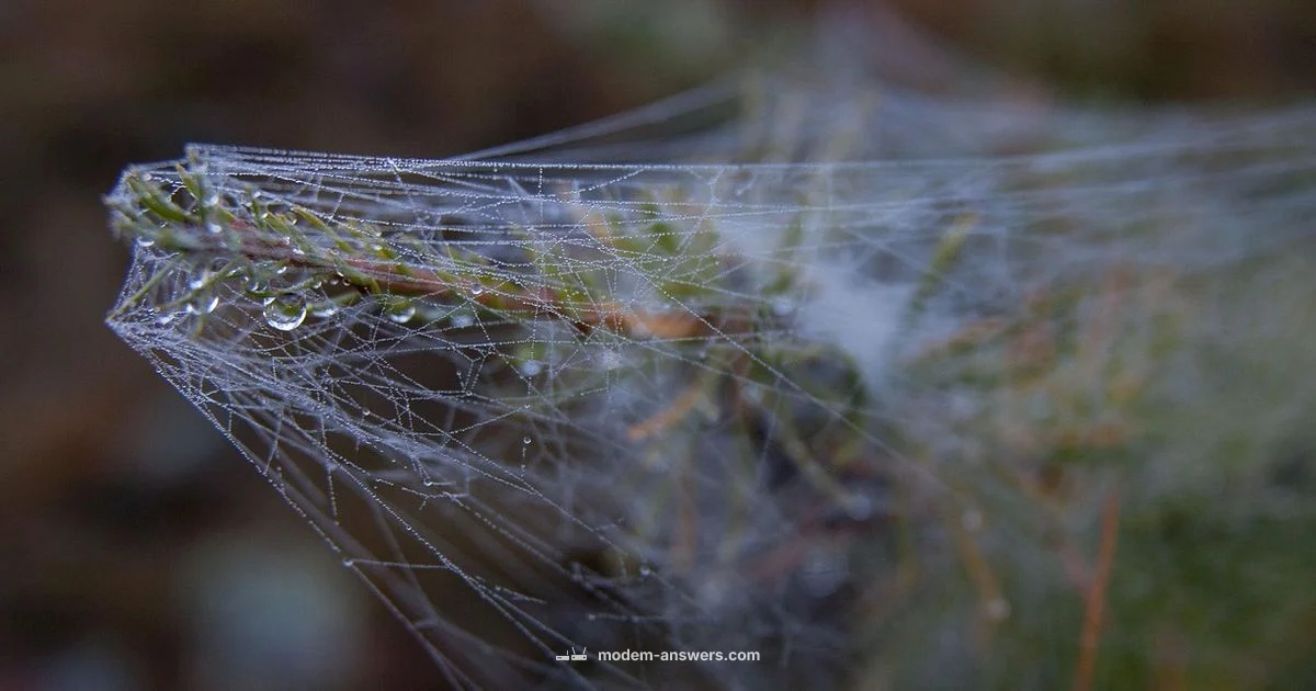 Find the Modem Fast - Modem Answers